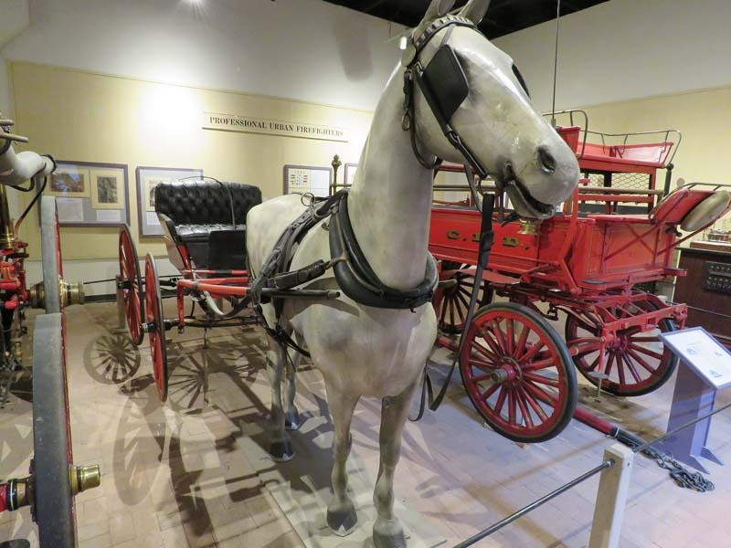 fire chief s buggy 2