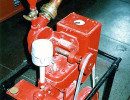 1919 vicrail fire pump