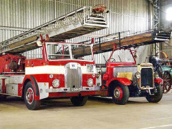 1955 dennis