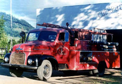1955 ford