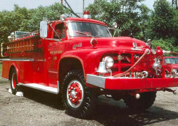 1955 ford  2 